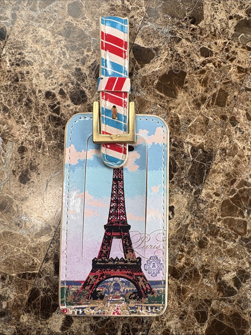 Eiffel Tower Luggage Tag in Pastel Blue & Pink